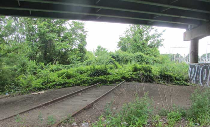 Image showing the proposed bridge pavement